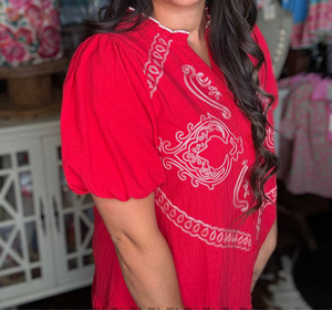 Rose Embroidered Dress